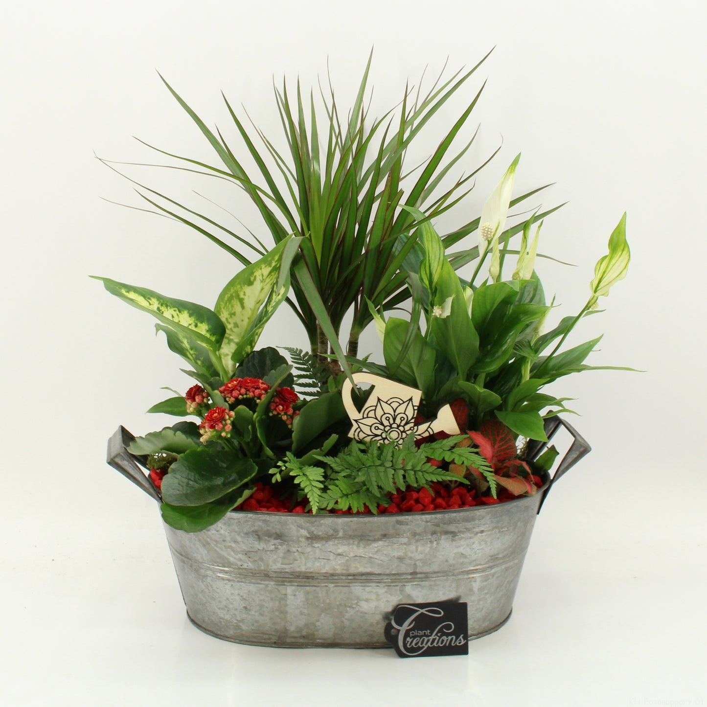 FDCR-2616R Basic Fundamentals 50cm 32cm Pot