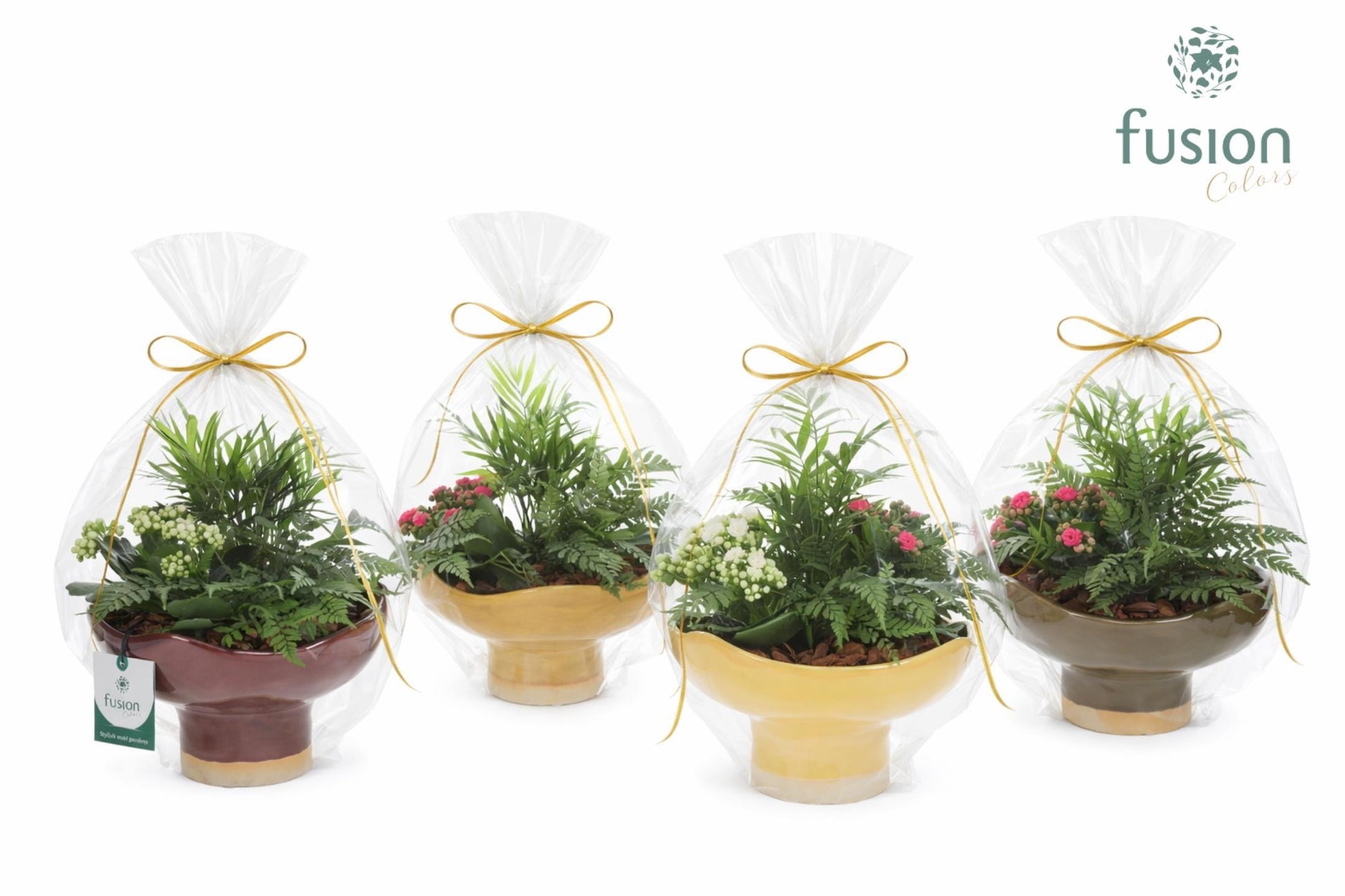 Keramiek schaal op voet Large met Arrangement in klaphoes 43cm 19cm Pot