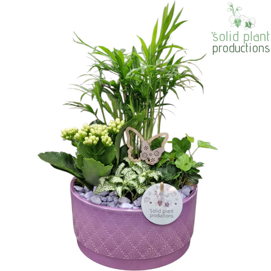 CH003 Loes Lila 35cm 18cm Pot