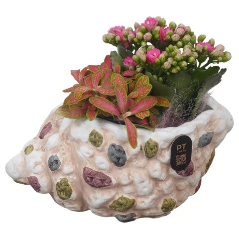 PTSUT8936 Arrangementen kamerplanten 16cm 18cm Pot