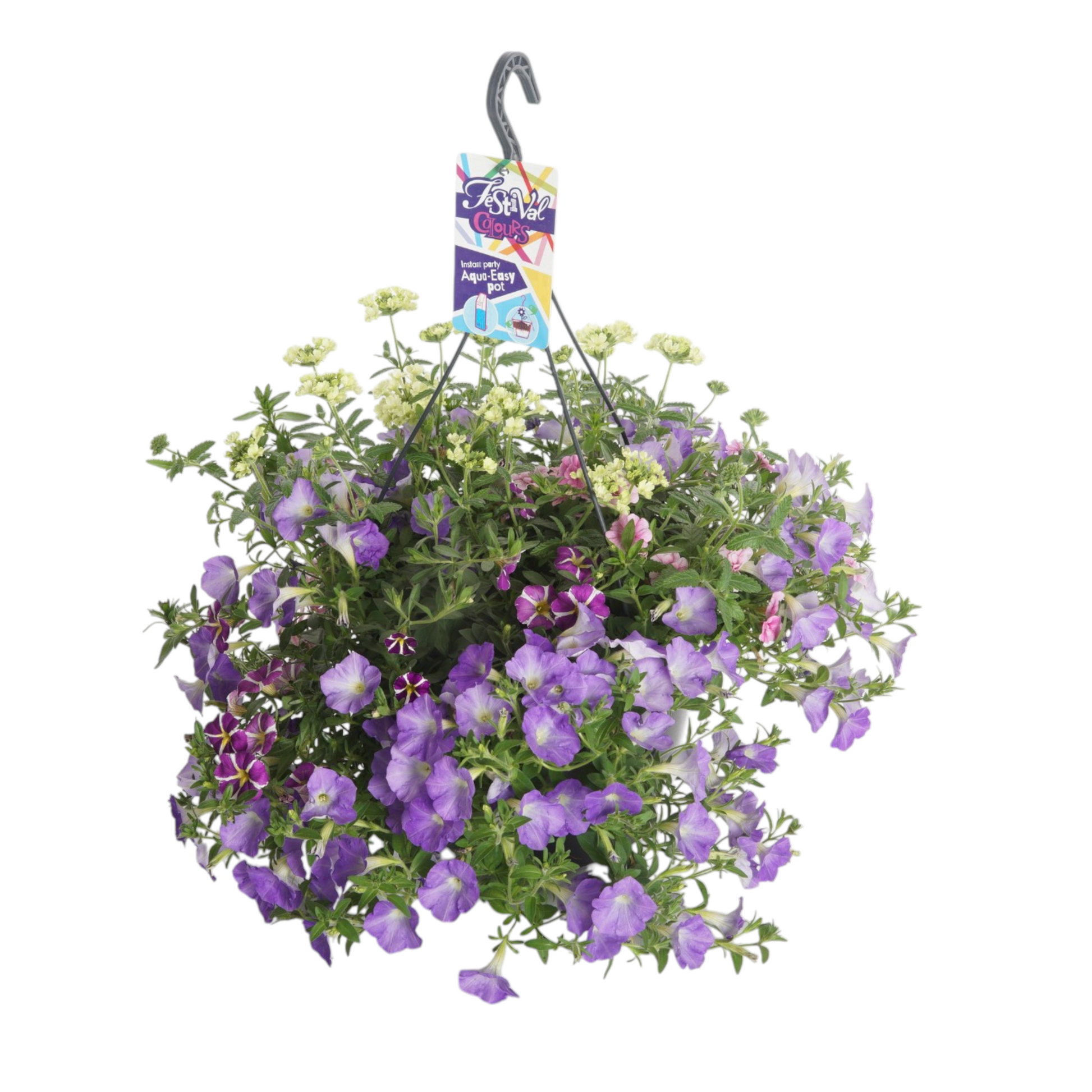 Annual plants mix 30cm 27cm Pot