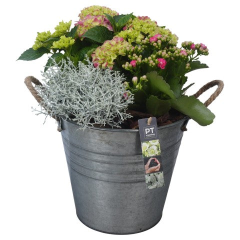 PTSO6019 Arrangementen Tuinplanten 37cm 24cm Pot