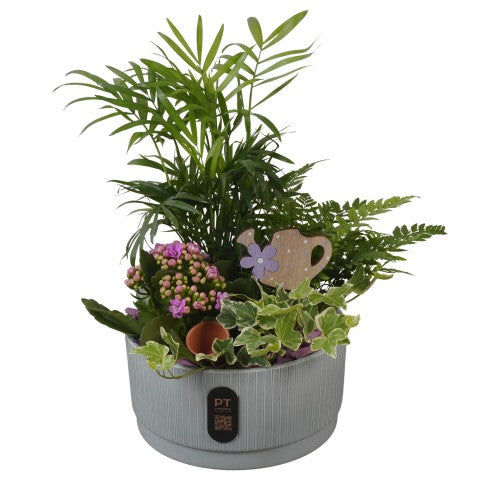PTIB5129 Arrangementen kamerplanten 32cm 19cm Pot