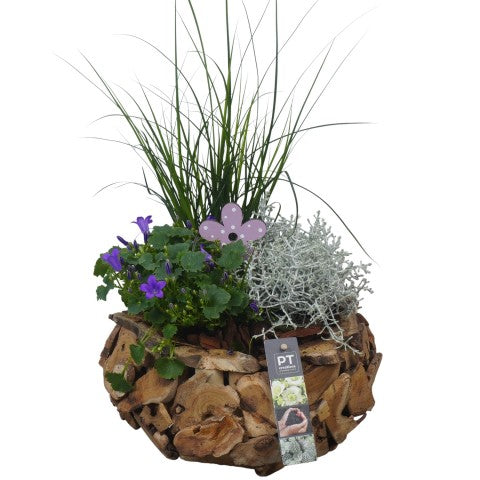 PTSO6024 Arrangementen Tuinplanten 45cm 26cm Pot