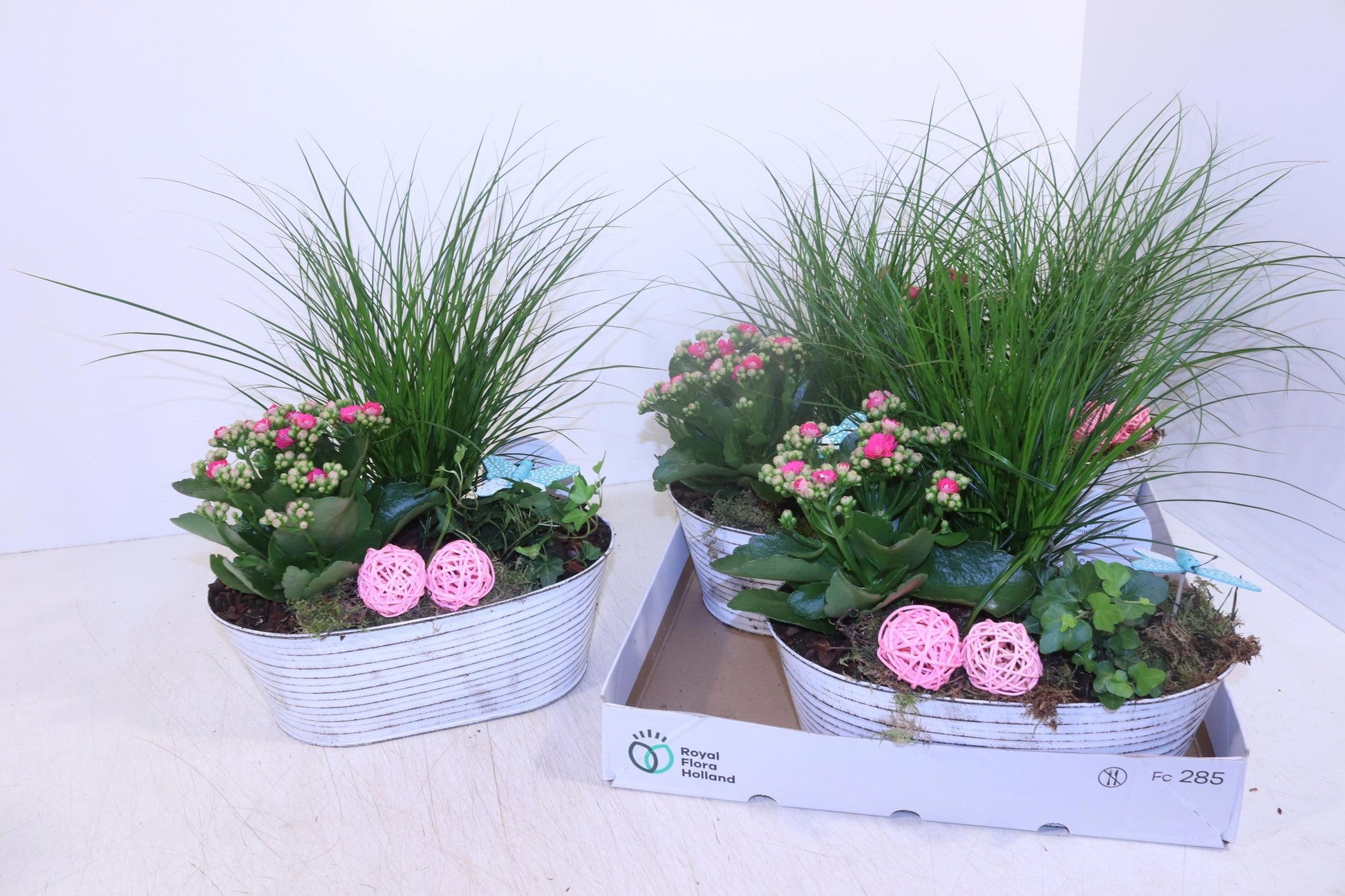 Outdoor arrangement 25cm 30cm Pot