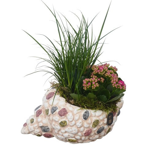 PTPP7068 Arrangementen Perkplanten 24cm 23cm Pot
