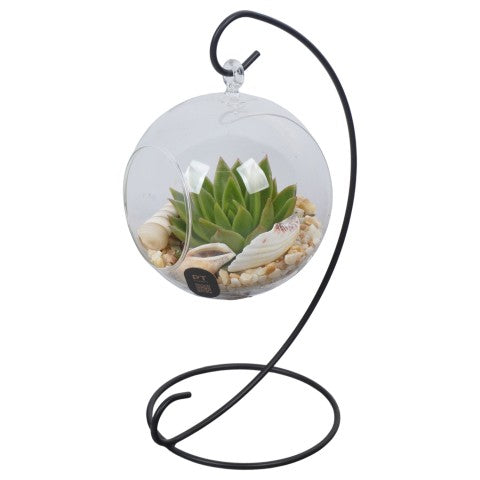 PTSUT8928 Arrangementen kamerplanten 29cm 12cm Pot