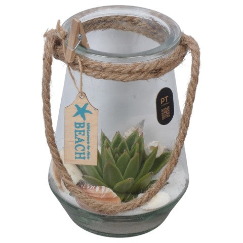 PTSUT8921 Arrangementen kamerplanten 20cm 12cm Pot