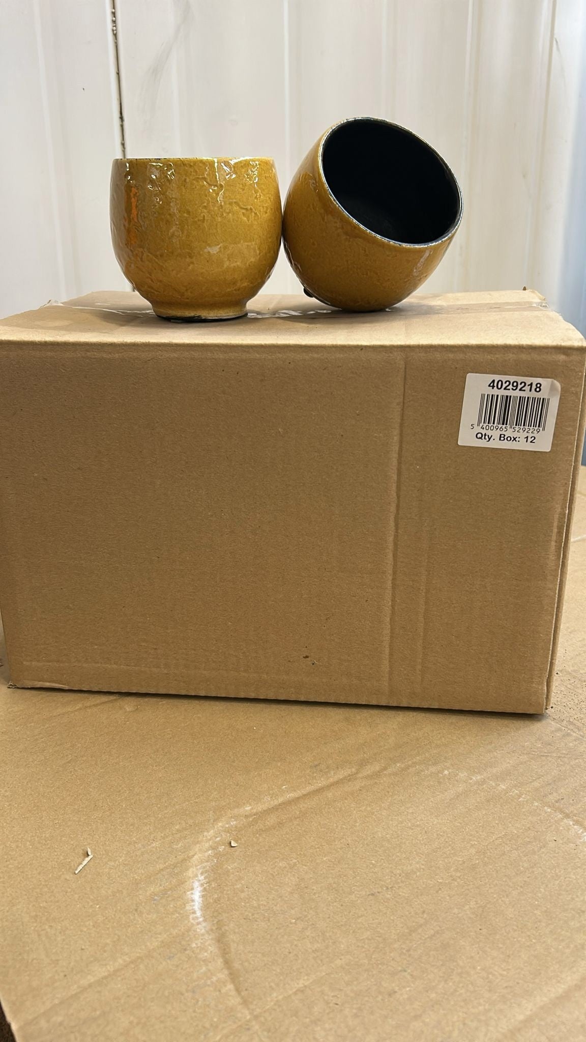APAC Europe BV Ceramicpottery Pack of 12
