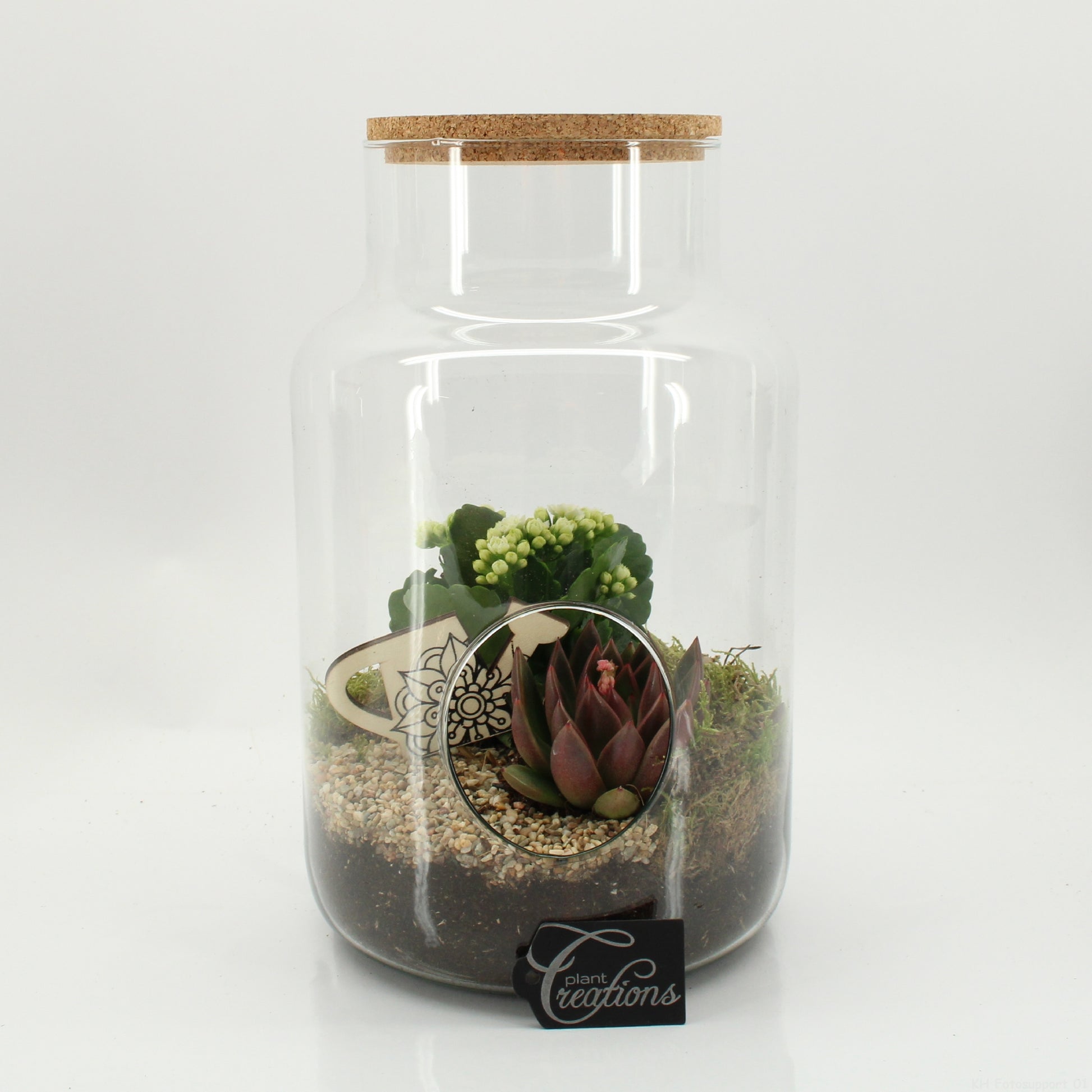 arr. Kamerplanten ESCR-2634W 30cm 19cm Pot
