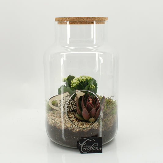 arr. Kamerplanten ESCR-2634W 30cm 19cm Pot