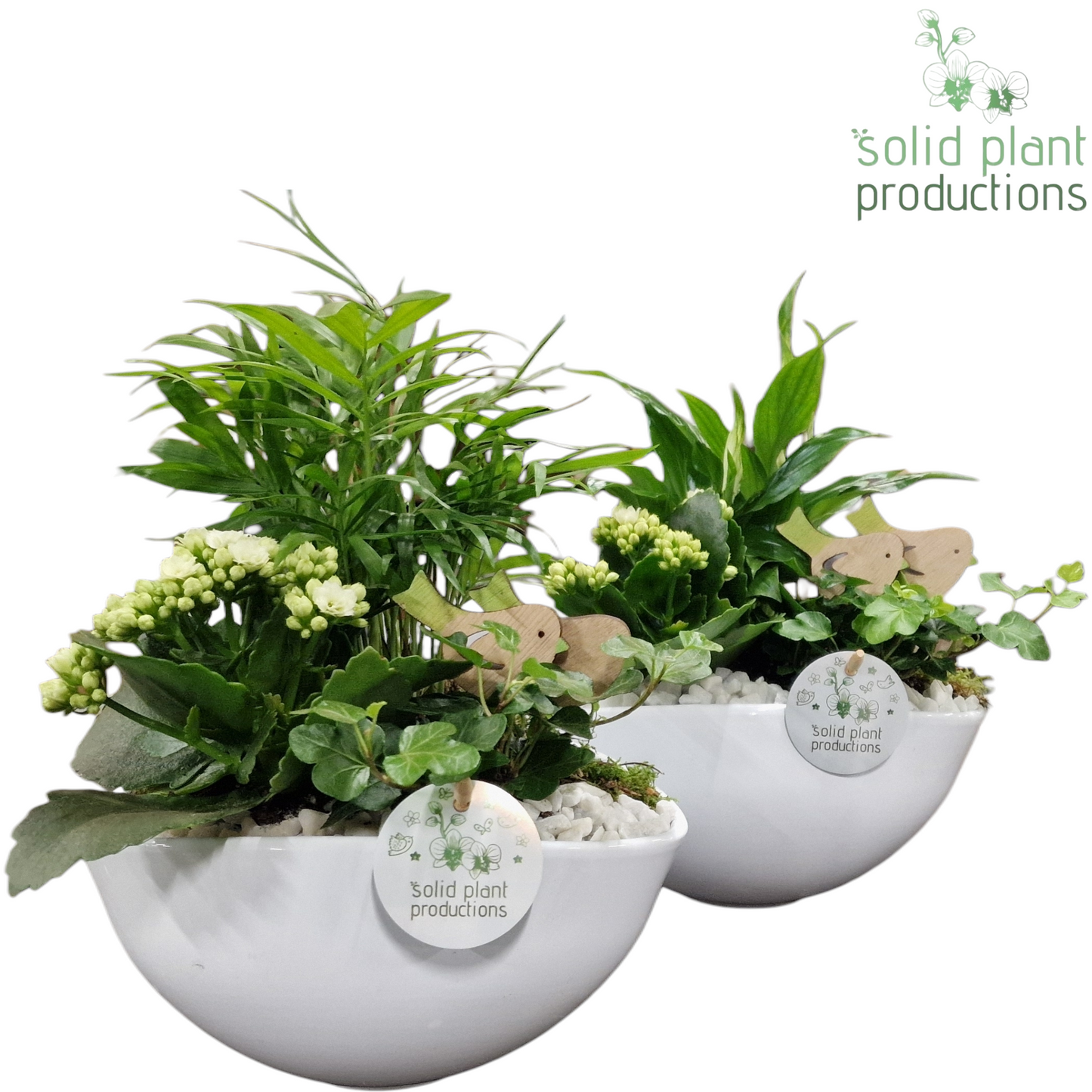 arr. SC005 White 35cm 22cm Pot
