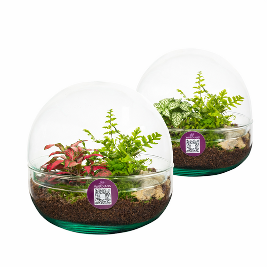 arr. Kamerplanten Earth Nano 16cm 14cm Pot