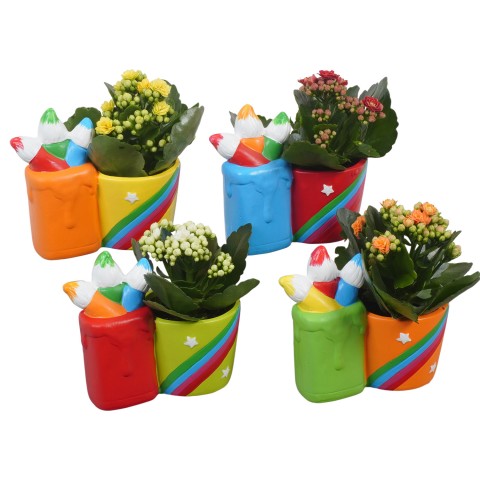 PTBTS3203 Arrangementen kamerplanten 15cm 13cm Pot