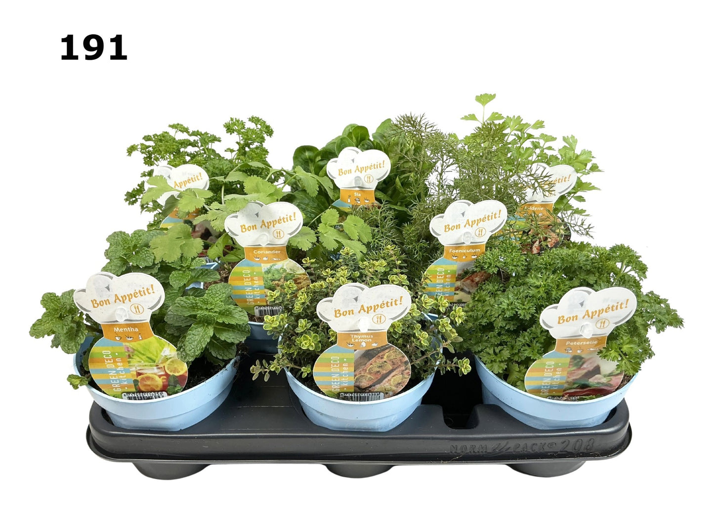 Herbs mix 15cm 12cm Pot