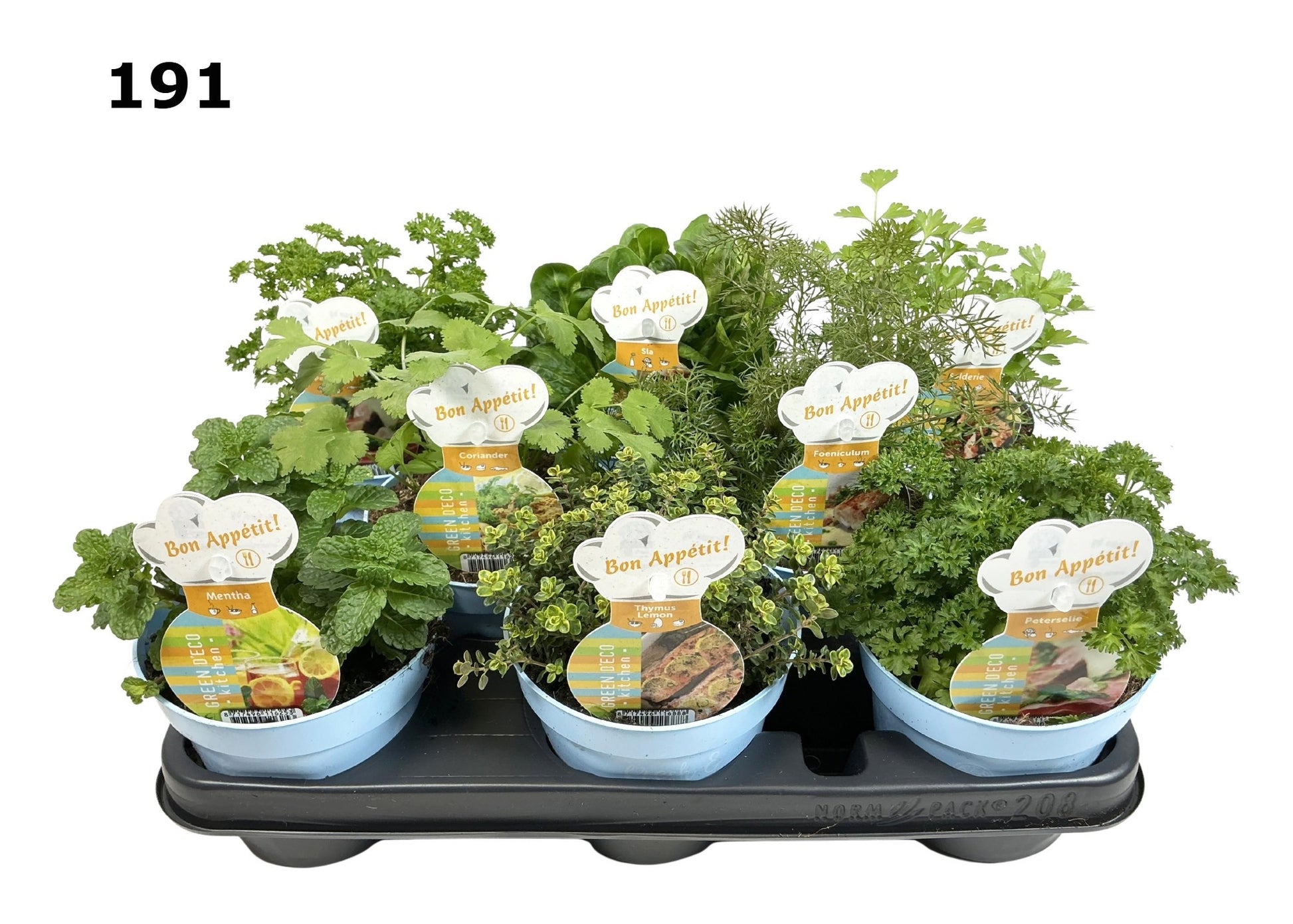 Herbs mix 15cm 12cm Pot
