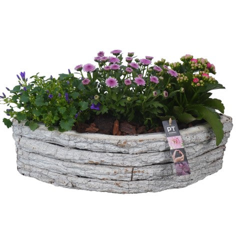 PTSO6028 Arrangementen Tuinplanten 26cm 46cm Pot