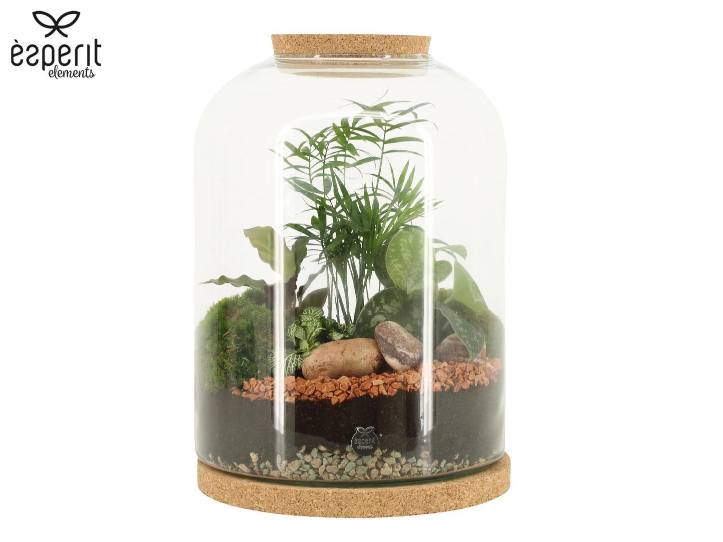 arr. Terrarium 61933 35cm 24cm Pot