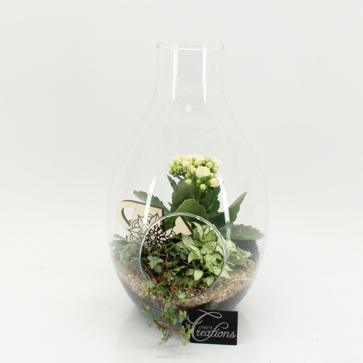 arr. Kamerplanten FDCR-2605W 30cm 17cm Pot