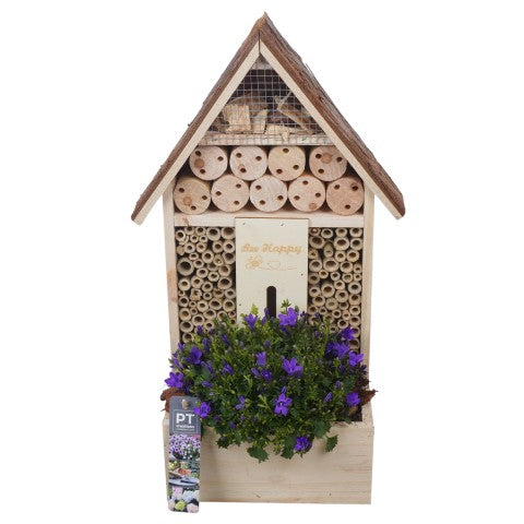 PTPP7034 Arrangementen Perkplanten 46cm 26cm Pot