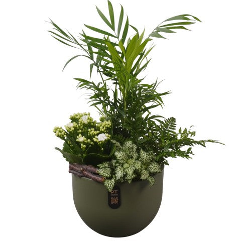 PTIB5146 Arrangementen kamerplanten 48cm 19cm Pot