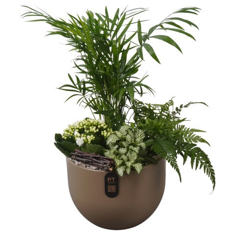 PTIB5164 Arrangementen kamerplanten 42cm 19cm Pot
