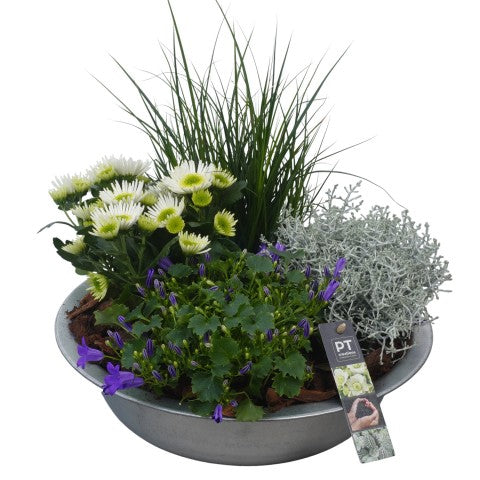 PTSO6017 Arrangementen Tuinplanten 40cm 33cm Pot