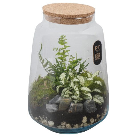 PTTER8134 Arrangementen kamerplanten groen 26cm 17cm Pot