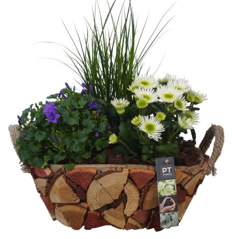 PTSO6023 Arrangementen Tuinplanten 43cm 33cm Pot