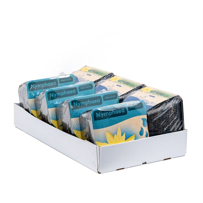 Do-it-yourself box Water lily yellow 12cm 18cm Pot