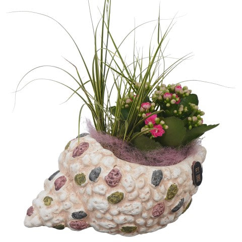 PTSUT8939 Arrangementen kamerplanten 25cm 23cm Pot