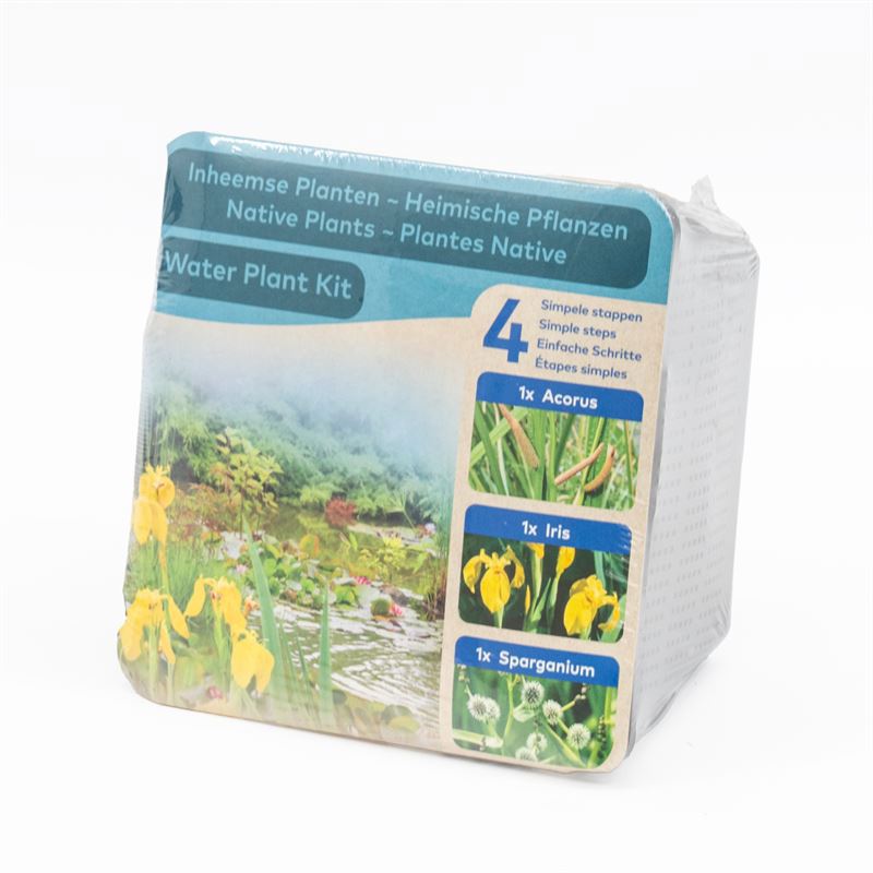 Waterplants mix 12cm 8cm Pot
