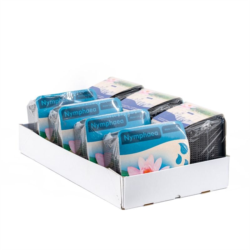 Do-it-yourself box Water lily pink 12cm 18cm Pot