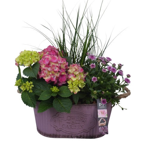 PTSO6003 Arrangementen Tuinplanten 50cm 28cm Pot