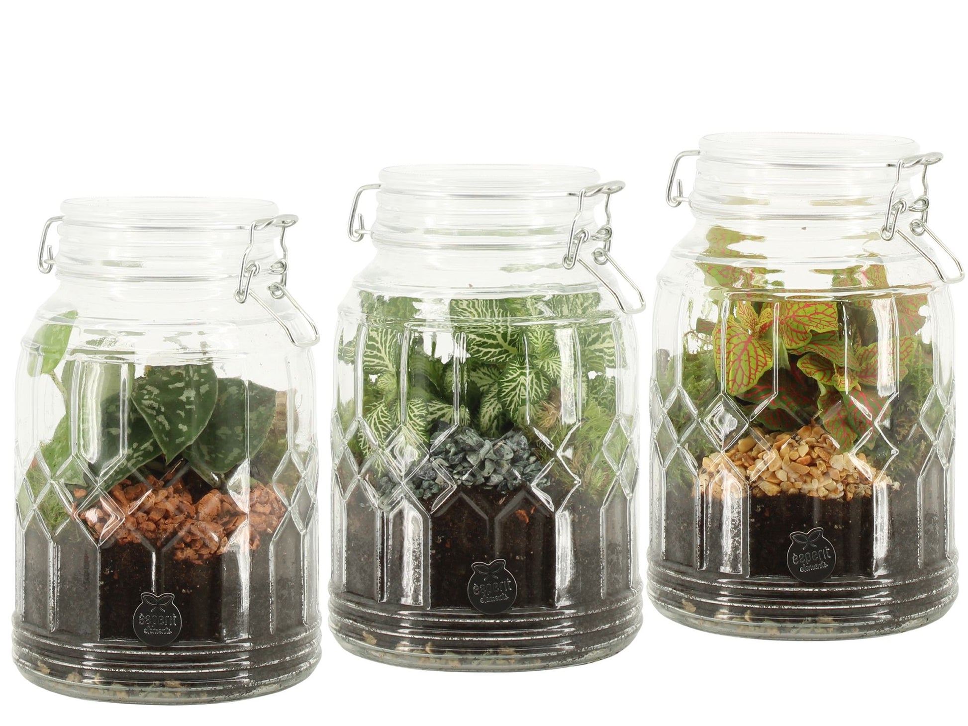 arr. Terrarium 90718 20cm 14cm Pot