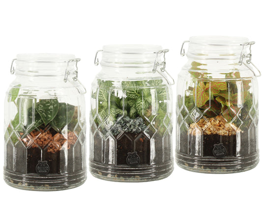 arr. Terrarium 90718 20cm 14cm Pot