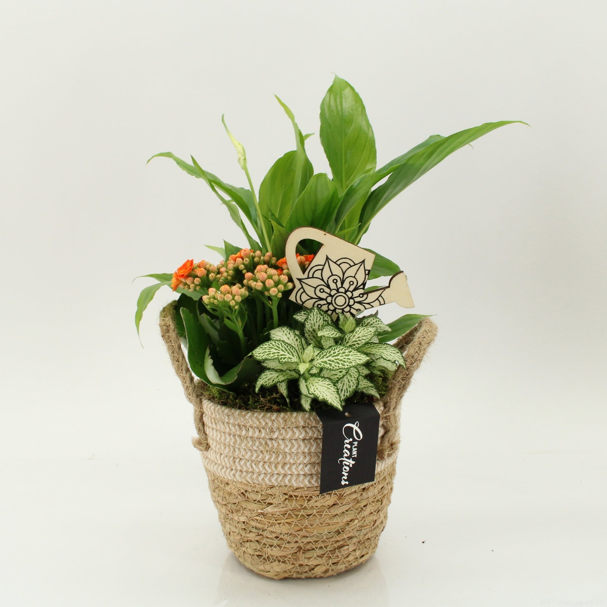 FDCR-2617OR Basic Fundamentals 35cm 14cm Pot