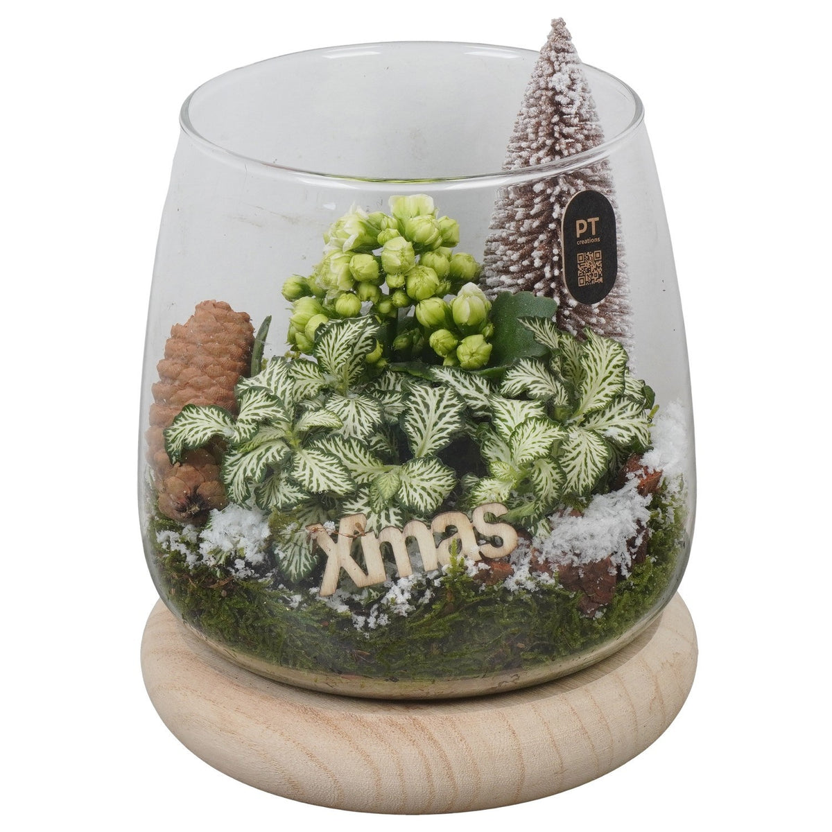 Christmas arrangement 20cm 16cm Pot