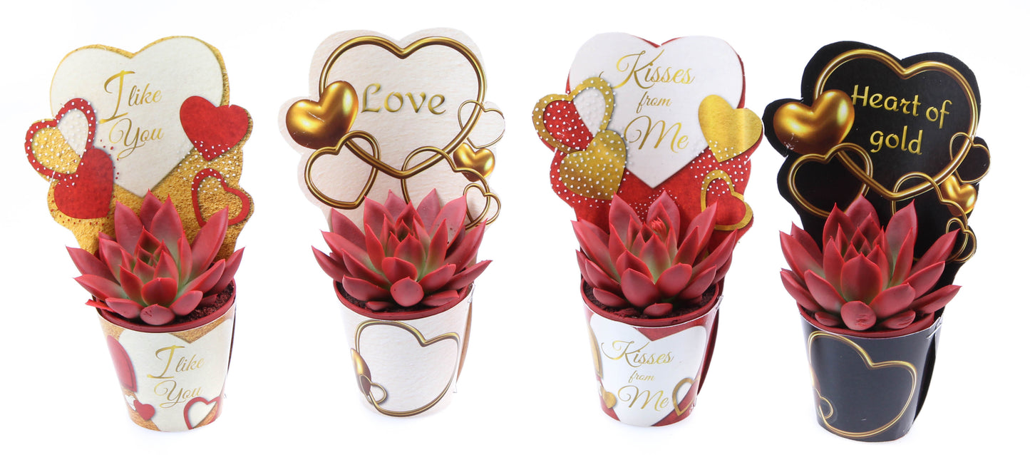 Potcover love mix rood 8cm 505cm Pot
