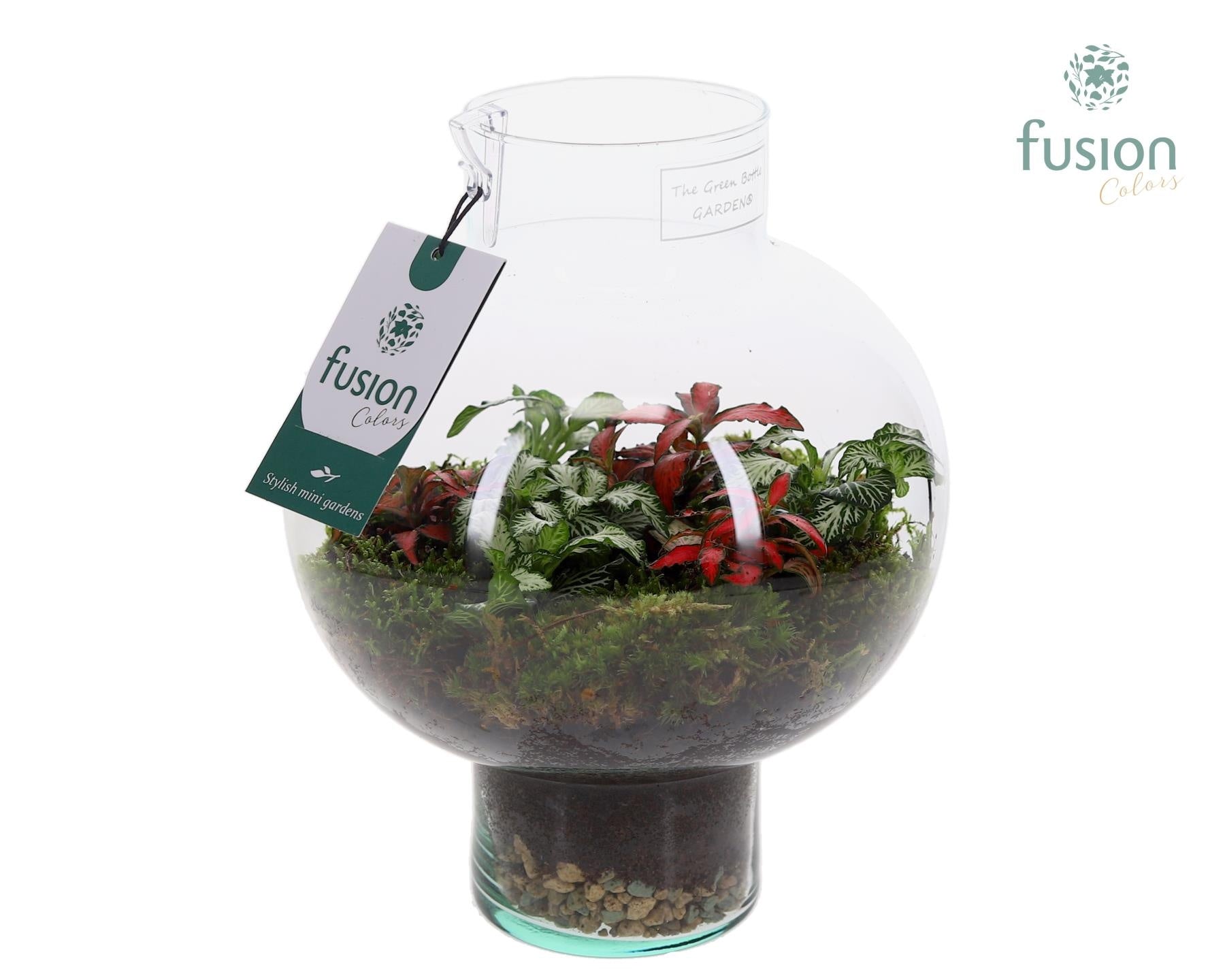 Fusioncolors BV Green Bottle Laura Small met Fittonia Pack of 3