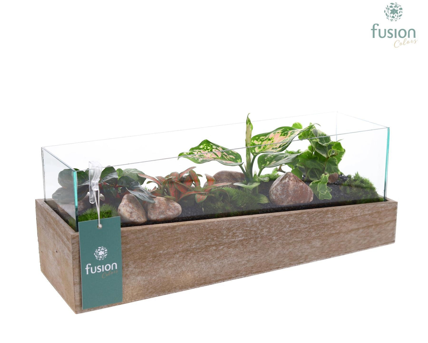 Aquarium Medium met Trendy groene planten 15cm 38cm Pot