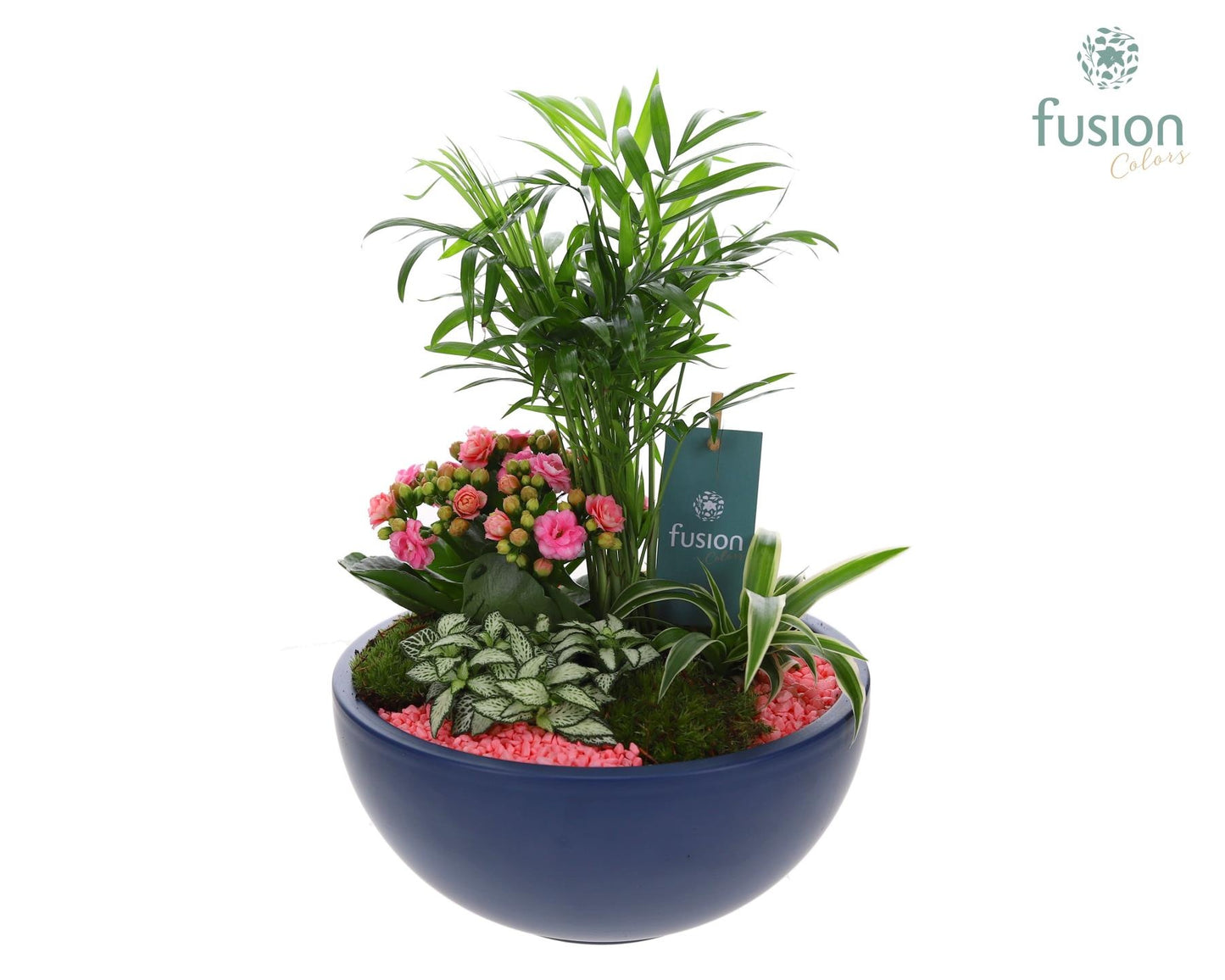 Keramiek Moonschaal Large met Arrangement 35cm 22cm Pot
