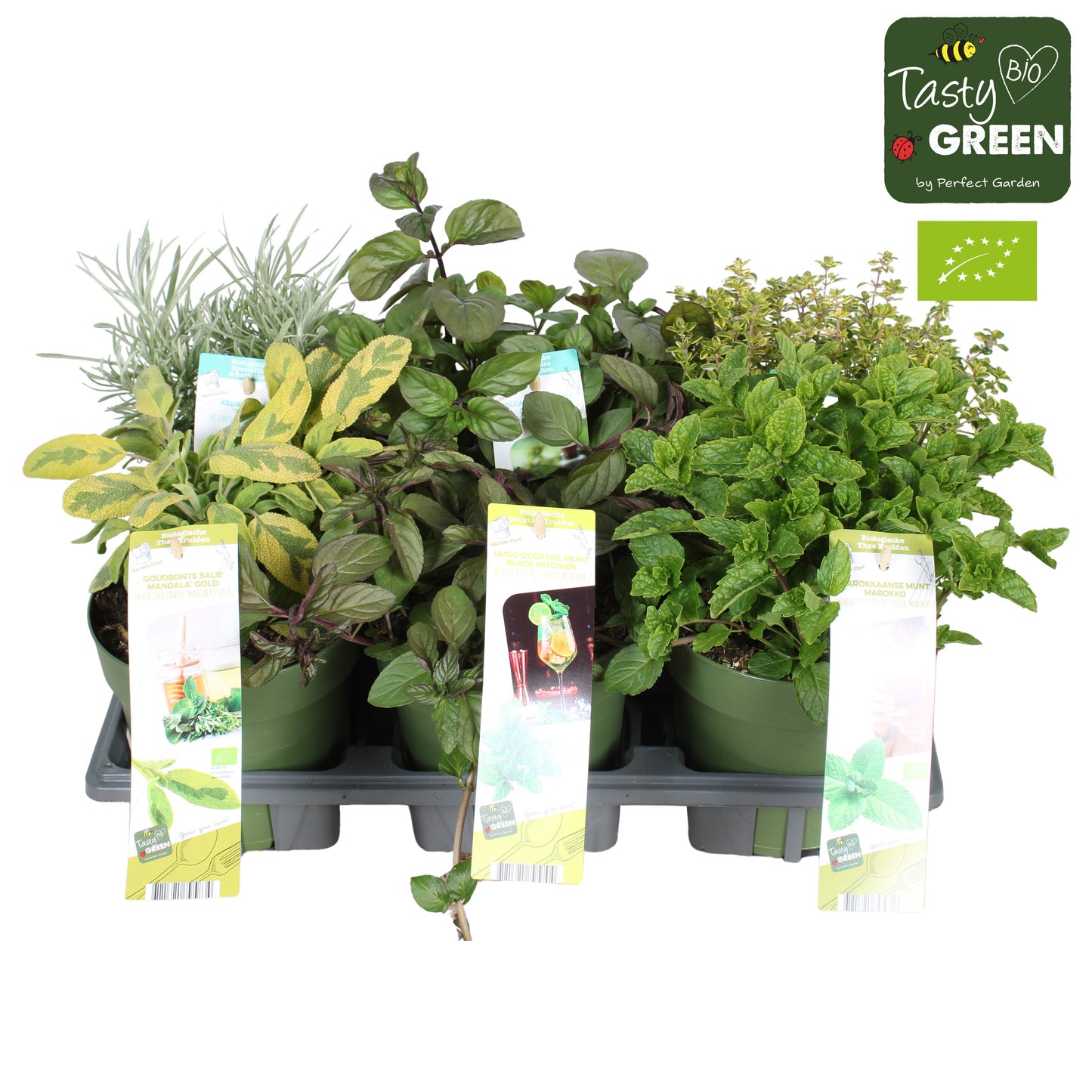 Garden Herbs mix 30cm 14cm Pot