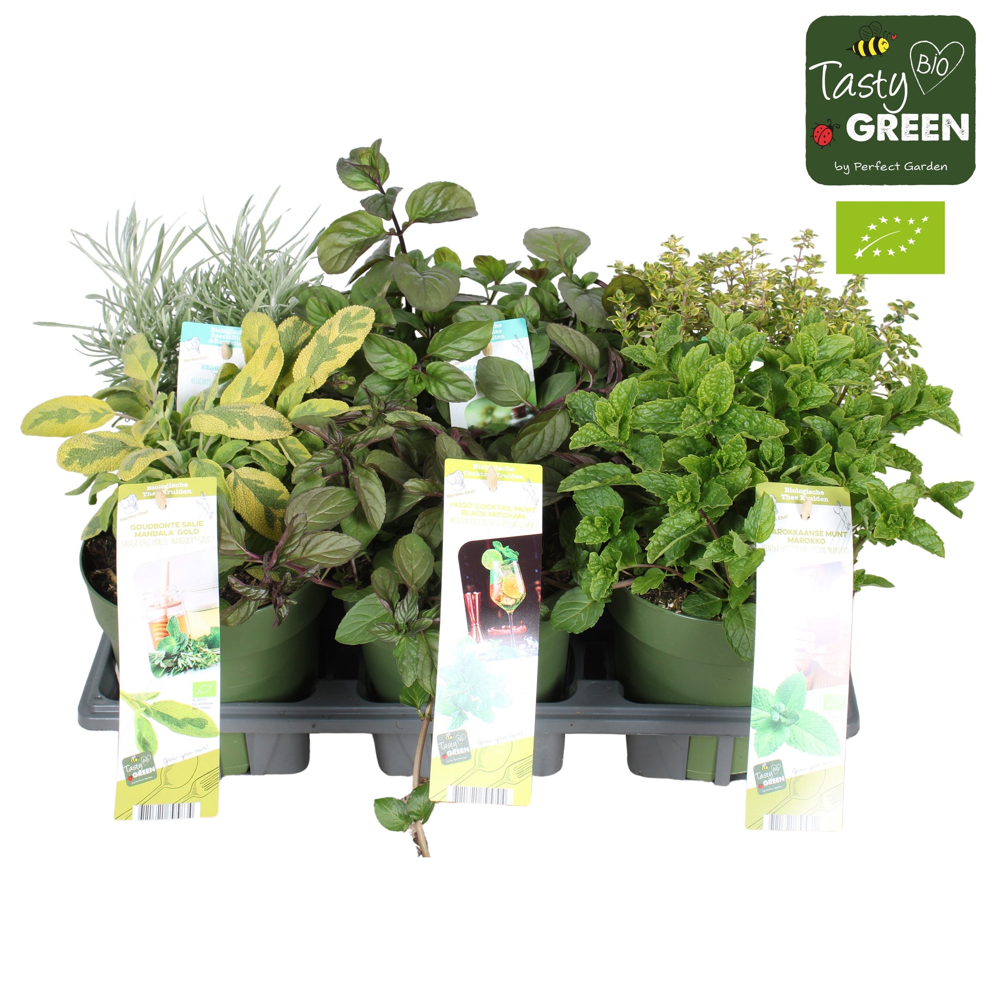 Garden Herbs mix 30cm 14cm Pot