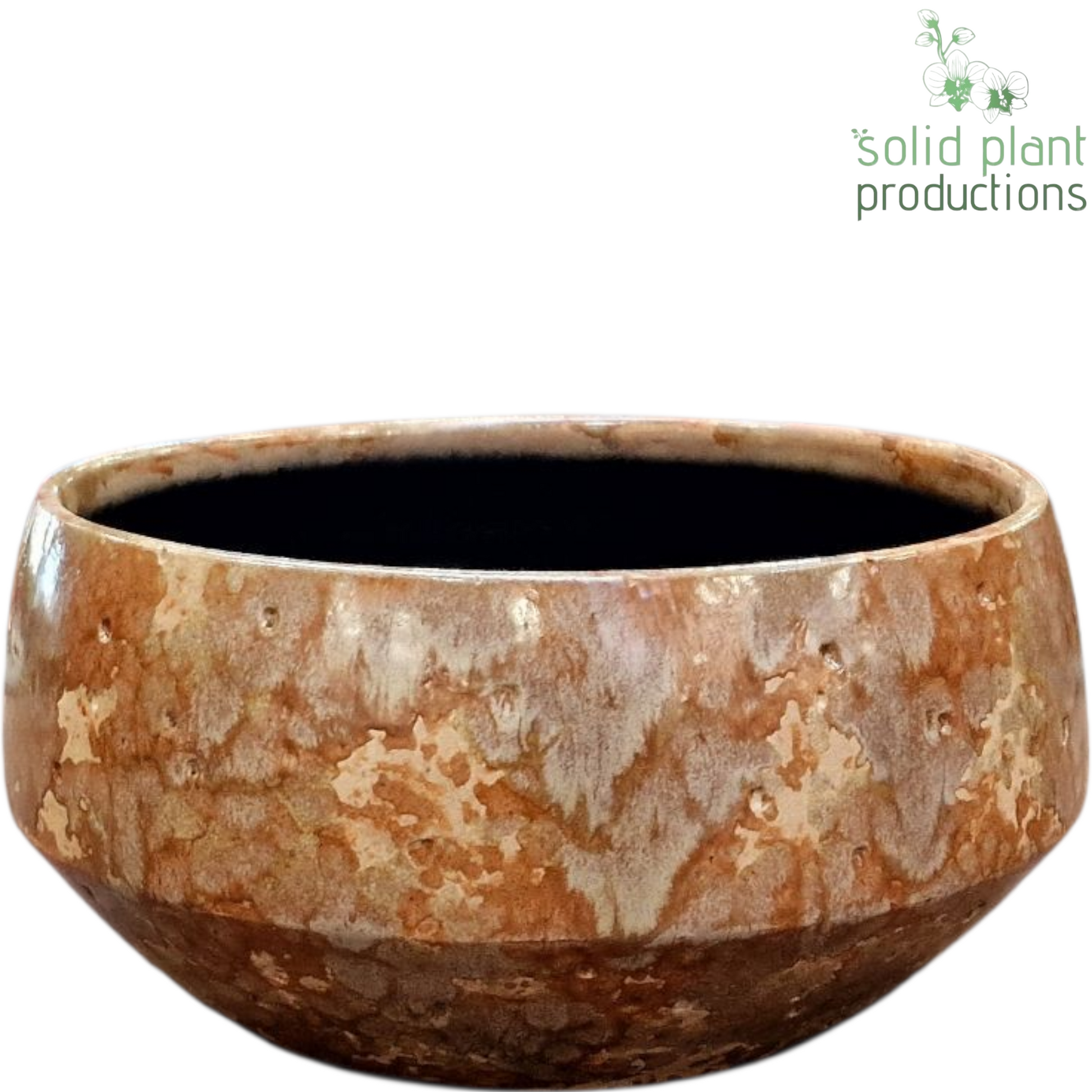 Solid Plant Productions C090 Sophia Small Taupe Pack of 6