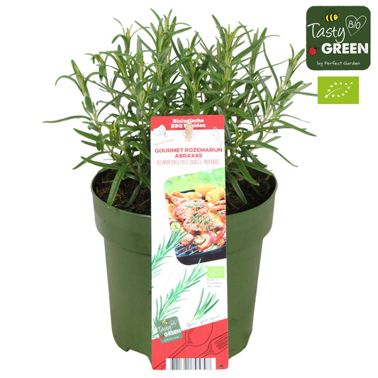 Garden herbs 30cm 14cm Pot