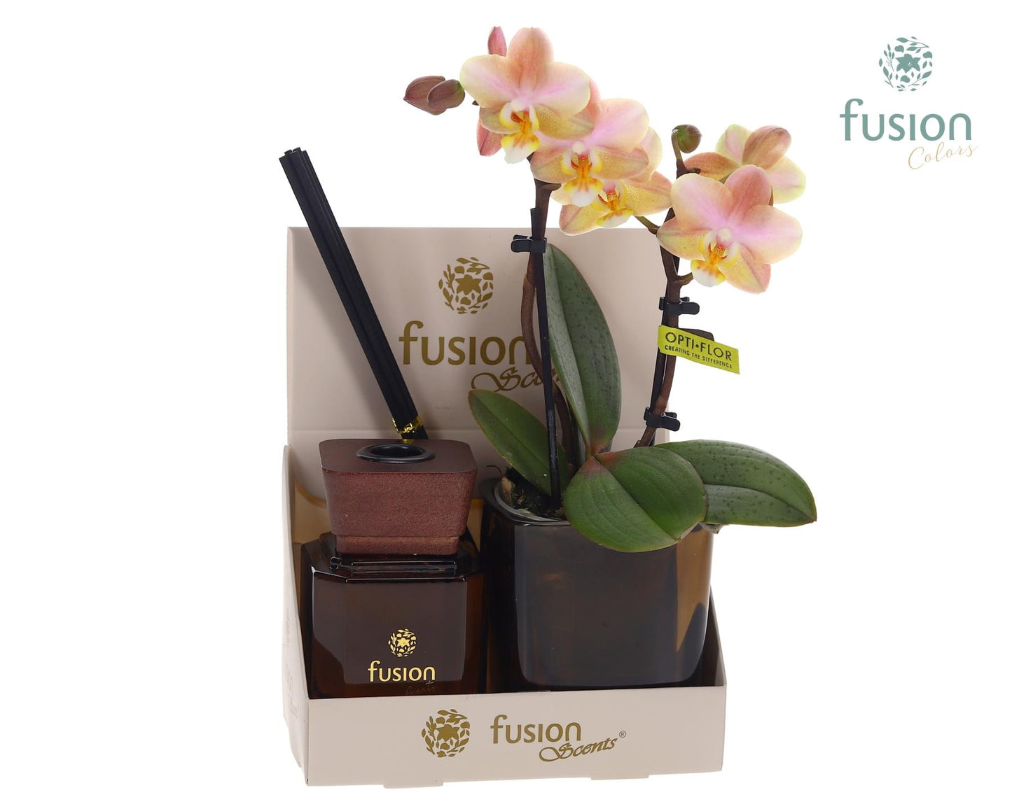 Fusion scents Glas pot geurstok groen met Phalaenopsis 20cm 7cm Pot