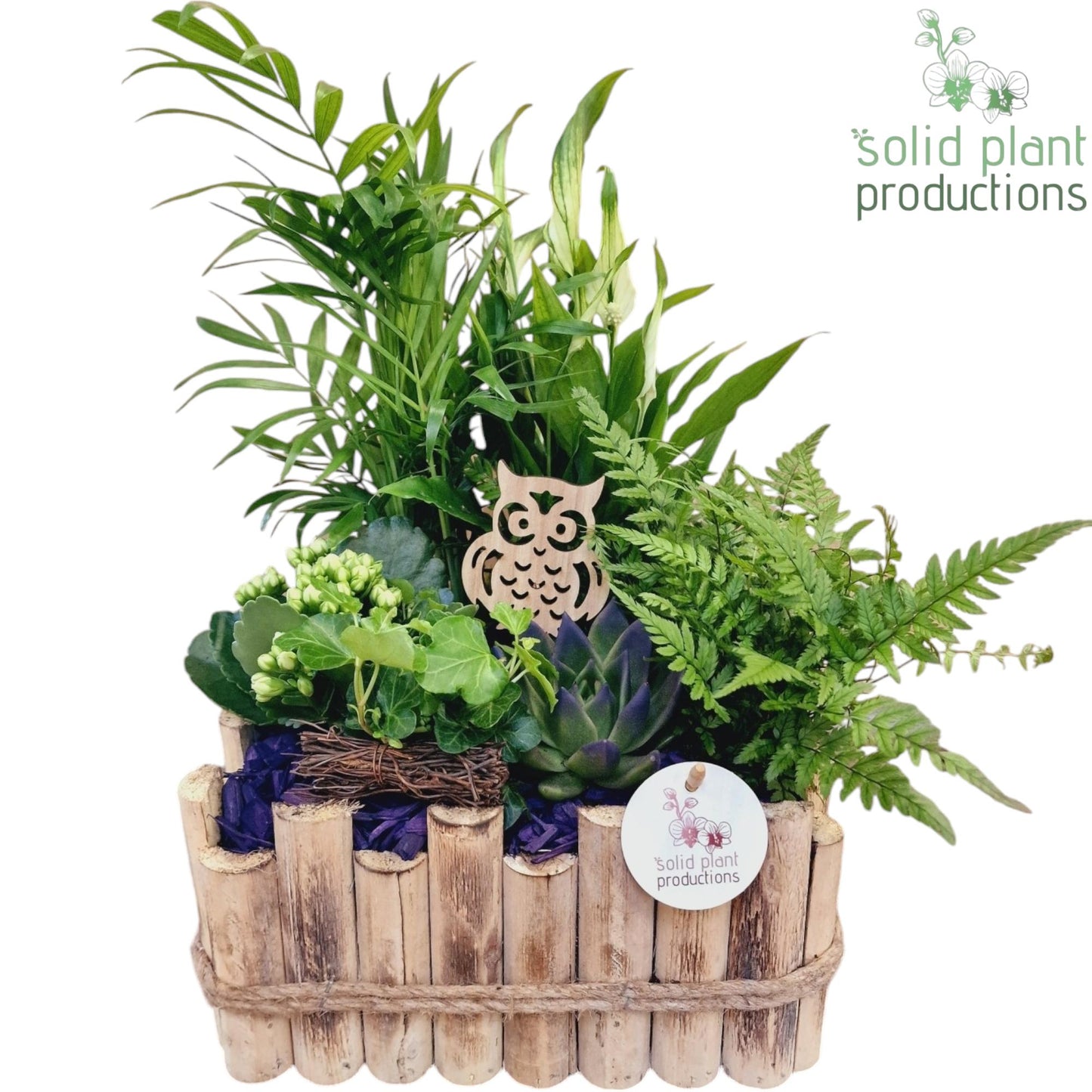 HSCE008 Verona Large Autumn Purple 38cm 30cm Pot