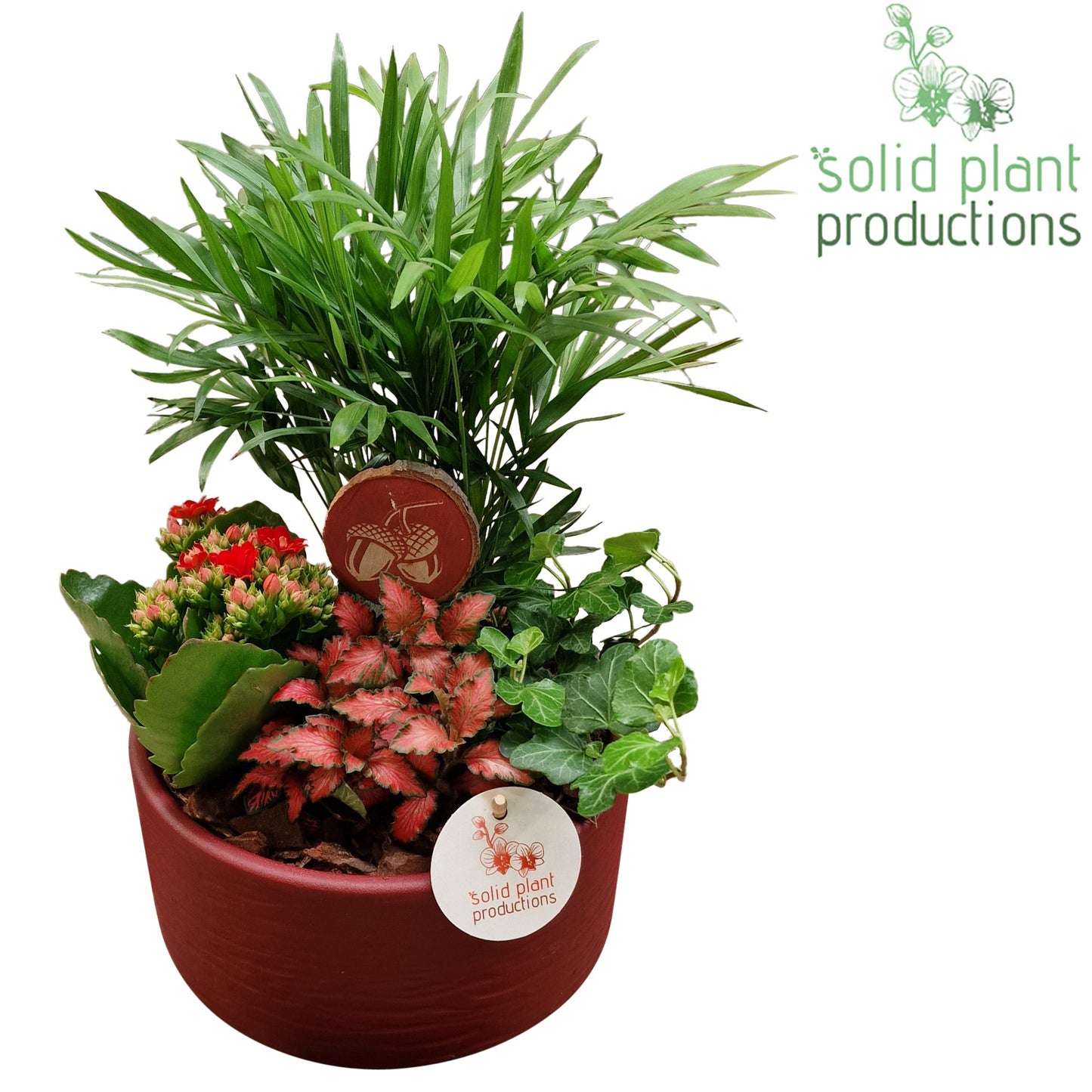 CH003 Loes Red 38cm 18cm Pot