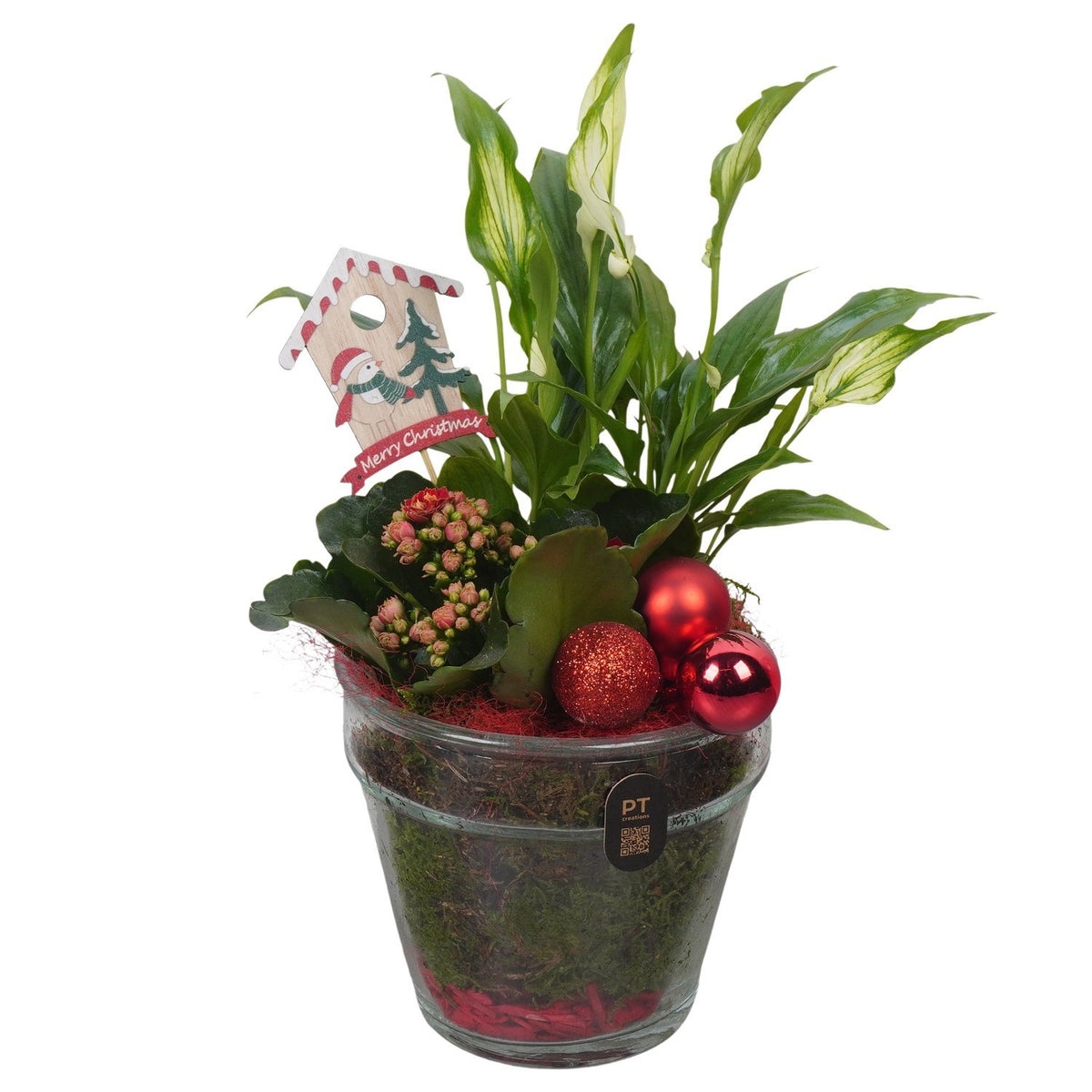 Christmas arrangement 31cm 13cm Pot
